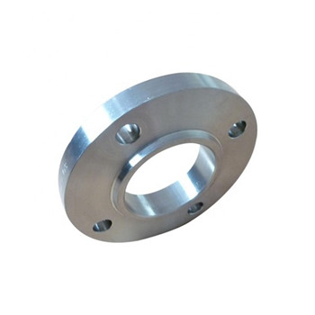 Forged SUS304 Stainless Steel Flange 