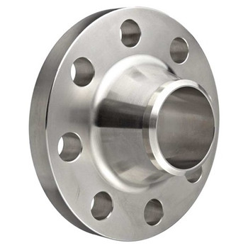 OEM/Customized Carbon/Mild Steel Stainless Steel Casting/Forged/Forging Flange 