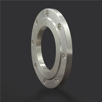 ANSI/DIN Forged Carbon/Stainless Steel Pn10/16 Welding Neck/Blind/Slip on/Flat/RF/FF Pipe Flanges 