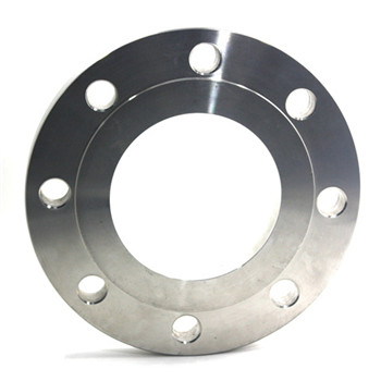 ASTM A182 F1 F2 F5 F22 F91 Forged Steel Flange 