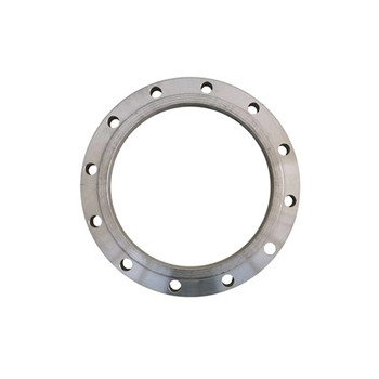 304/316L Forged Blind Stainless Steel Flange 