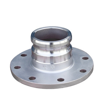 300 Series Stainless Steel Flange Fitting for Water Line 