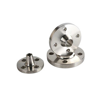 Aluminum Forged Flanges Forging Flanges China Manufacturer 