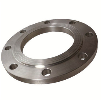 SA182 F304L Lwn Forged Flange 