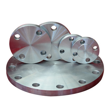 ANSI Flange/ Steel Flange/Forged Flange/Rj Flange/JIS Flange/ Plate Flange/Joint Pipe Flange 