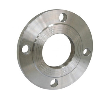 304/316L Stainless Steel Weld Neck Pipe Fittings Flange 