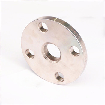 ASTM A182 F316 F316L F304/F314L Stainless Steel Forged Flange 