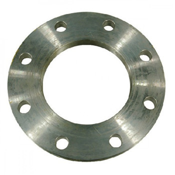 F304L Steel Welding Neck Forging Flange 