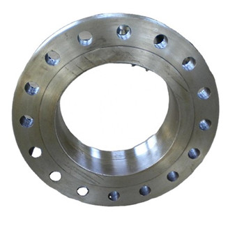 Factory Supplied Stainless Steel AISI304/316 Forged Flange 