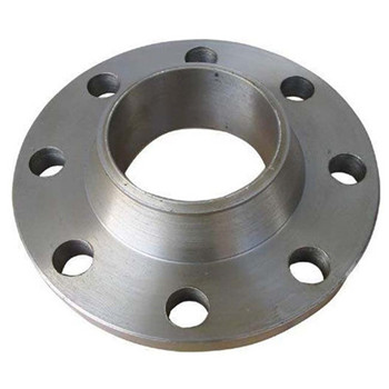 DIN Standard Stainless Steel Forged Flange 