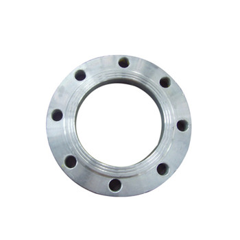 Custom Large Diameter Stainless Steel Flange 