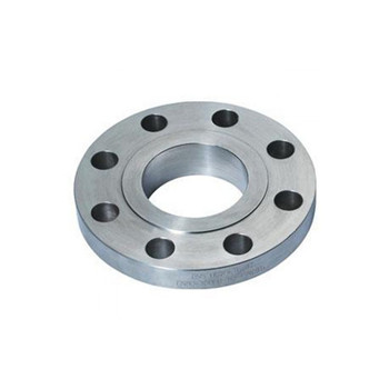 High Quality Fasteners Duplex Stainless Steel Threaded or Companion Flange 