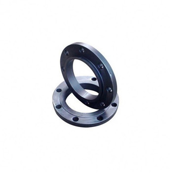 Stainless Steel SUS304/F304L/F316L/F321/Uns31803 Forged Plate Flange 