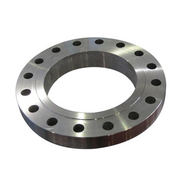 Wn Stainless Steel Weld Neck Flange (A182 F304H, F316H, F317, F321) 