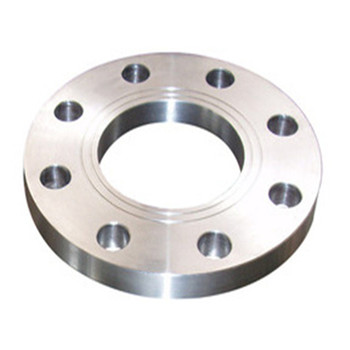 Stainless Steel Pipe Flange Used in Acid Madium 